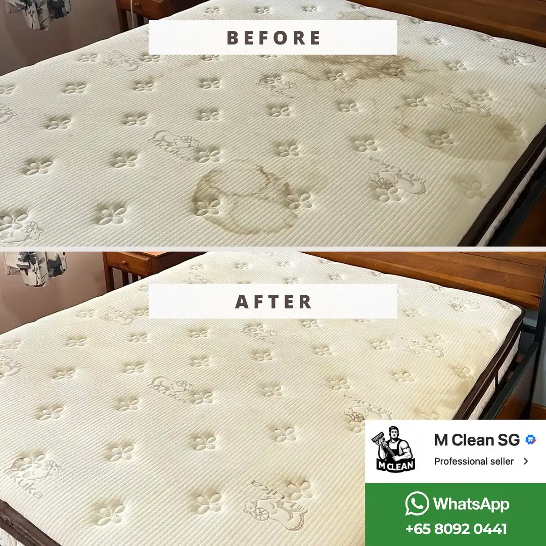 572564518_17971571135956594_4371518839321589513_n