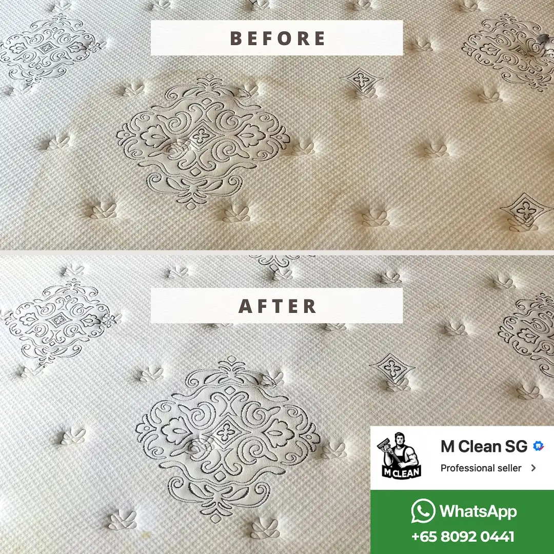 573215690_17971571153956594_7177804677918316036_n