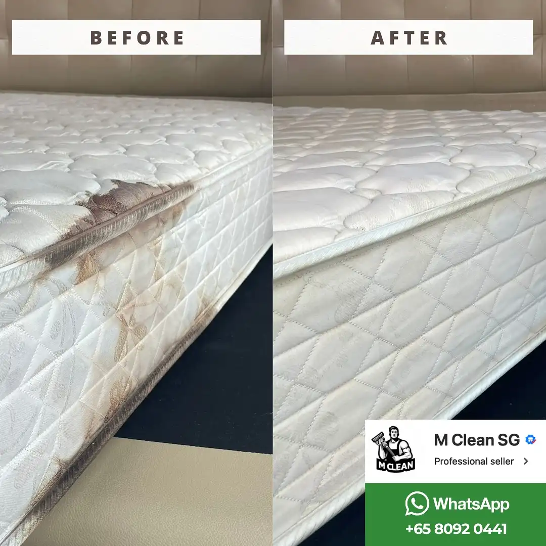 573820407_17971571126956594_1791420739632810644_n