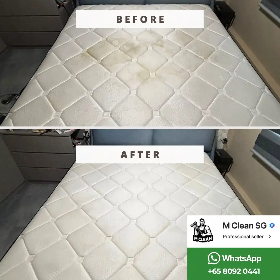 573830834_17971571144956594_1853780135292982481_n